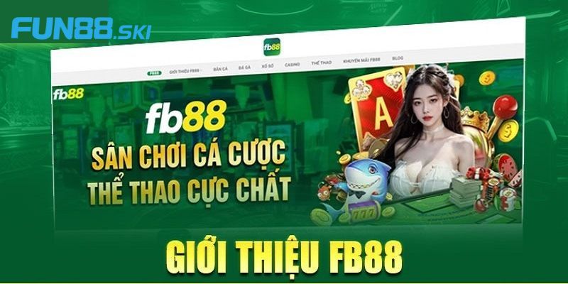 FB88 và những thông tin cơ bản
